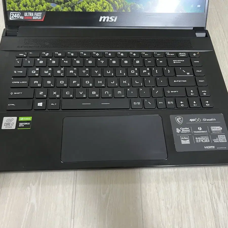 MSI 게이밍 노트북 GS66 10SE 240Hz i7-10750H, 1