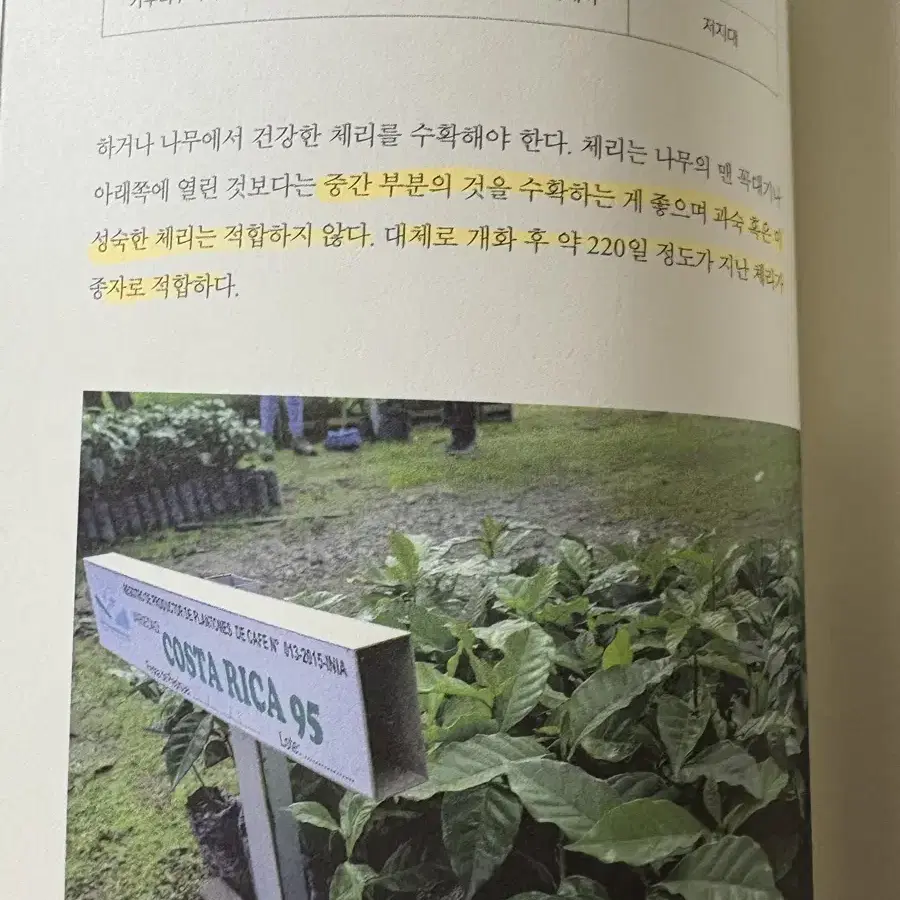 다시 쓰는 커피학개론