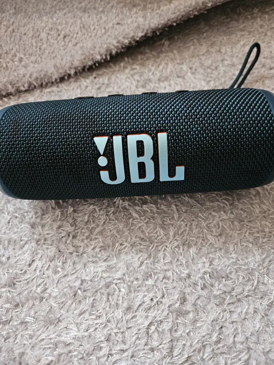 jbl flip6