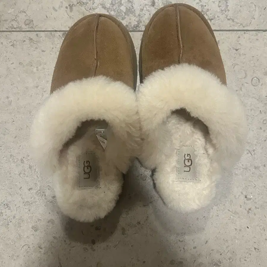 UGG 디스켓 슬리퍼 체스트넛 6W