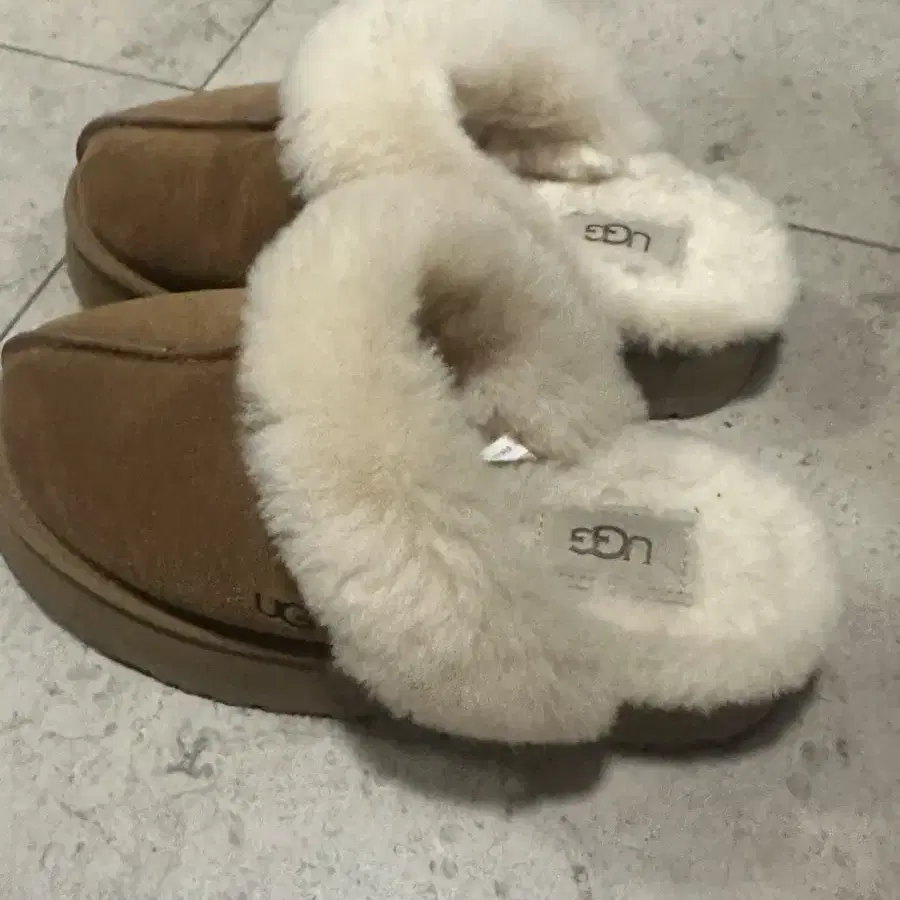 UGG 디스켓 슬리퍼 체스트넛 6W