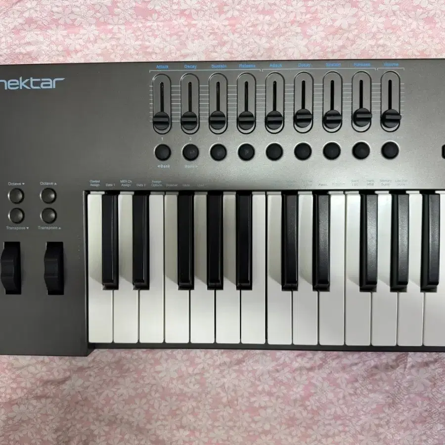 넥타 LX61+ 마스터건반 Nectar IMPACT LX-61+ LX61