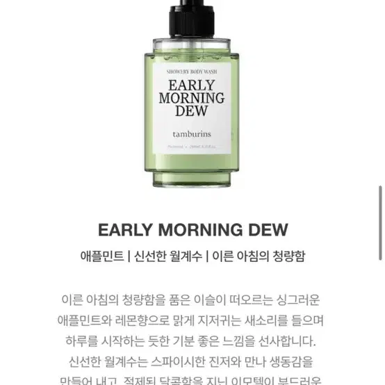 탬버린즈 바디워시 240ml 얼리모닝듀