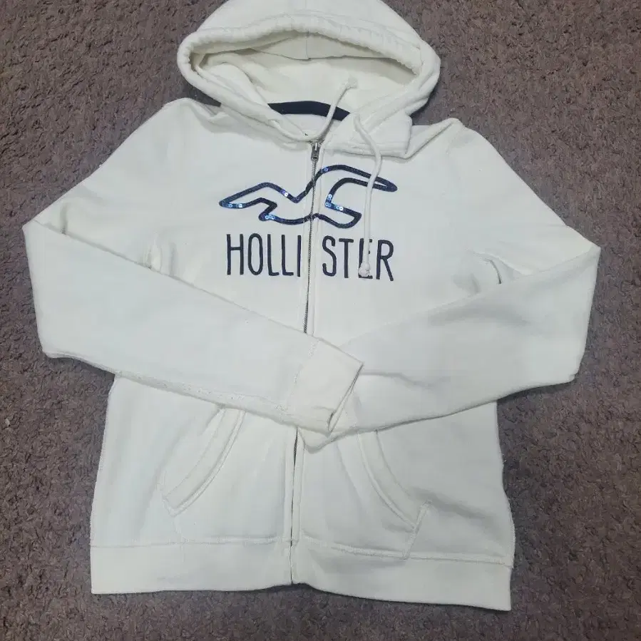 HOLLISTER 집업 후드티셔츠