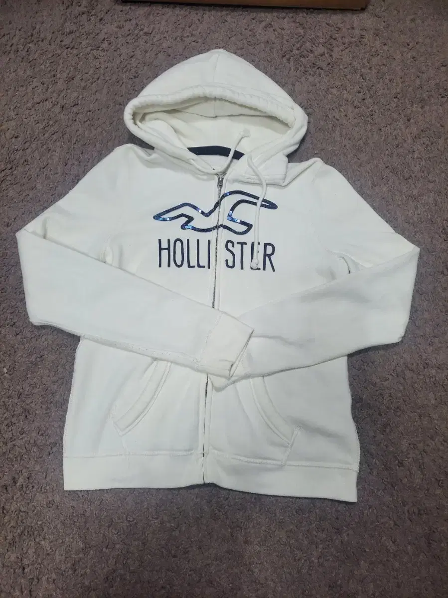 HOLLISTER 집업 후드티셔츠