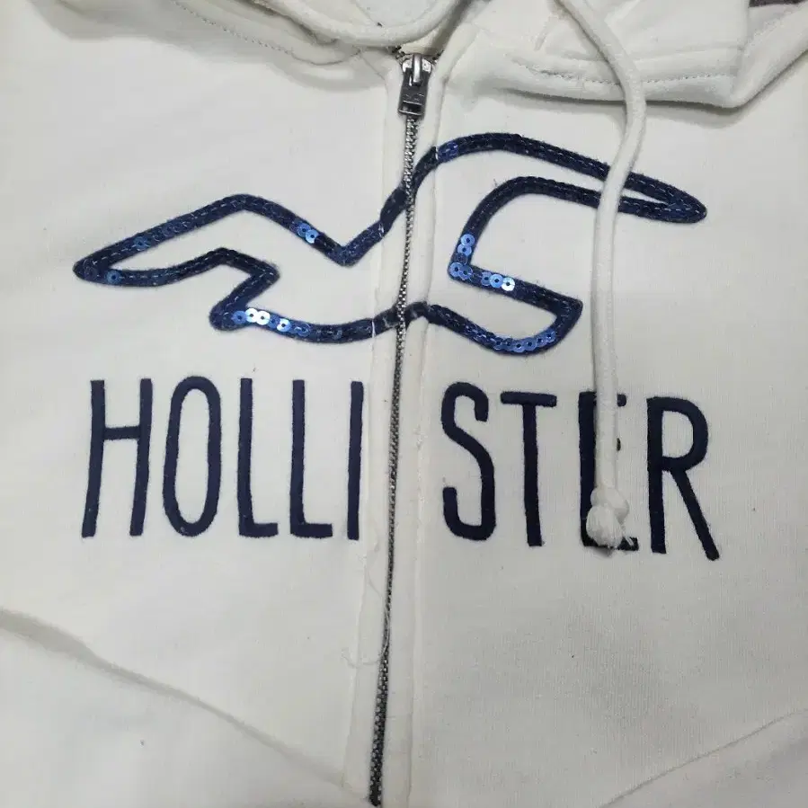 HOLLISTER 집업 후드티셔츠