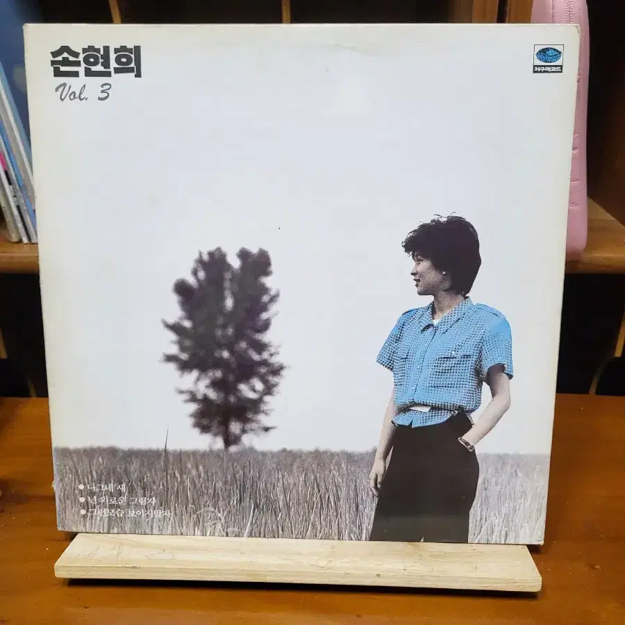 손현희 LP