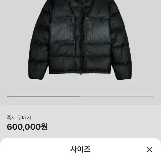 나이키 acg 고어텍스 구스다운 패딩