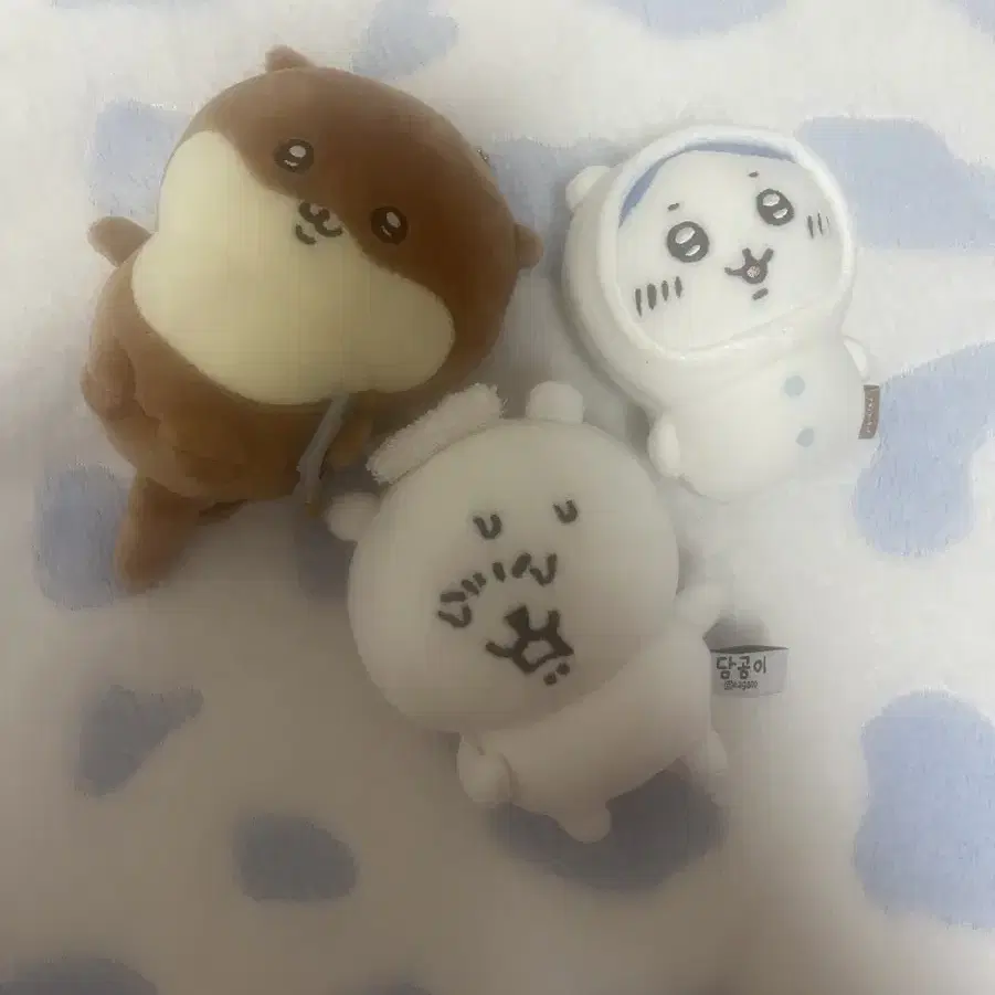 농담곰 치이카와 나가노 농담곰 먼작귀 하치와레 인형