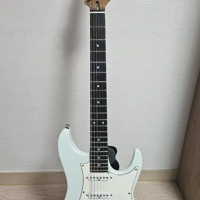 아이바네즈 Ibanez Japan AZ2204NW 민트그린 판매