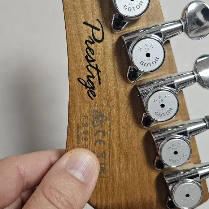 아이바네즈 Ibanez Japan AZ2204NW 민트그린 판매