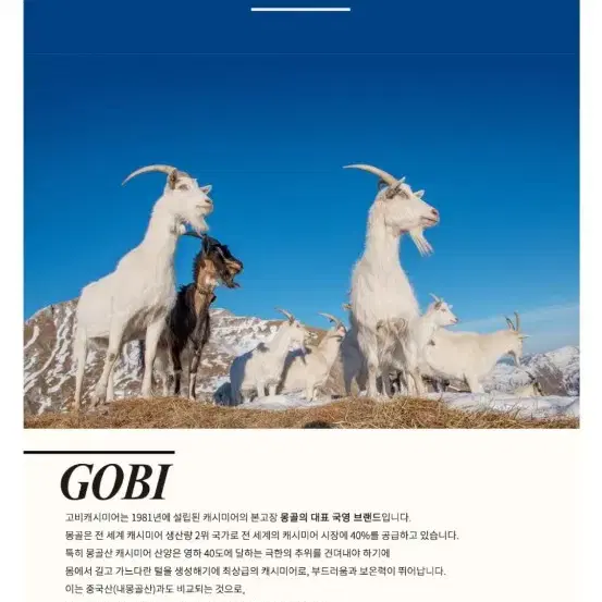 고비 GOBI 최고급몽골 캐시미어100머플러(거의새것)차콜