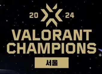 Valorant Champions Outfit