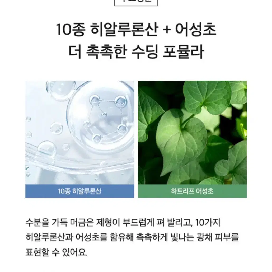 셀리맥스 톤업선크림 40ml(올리브영)