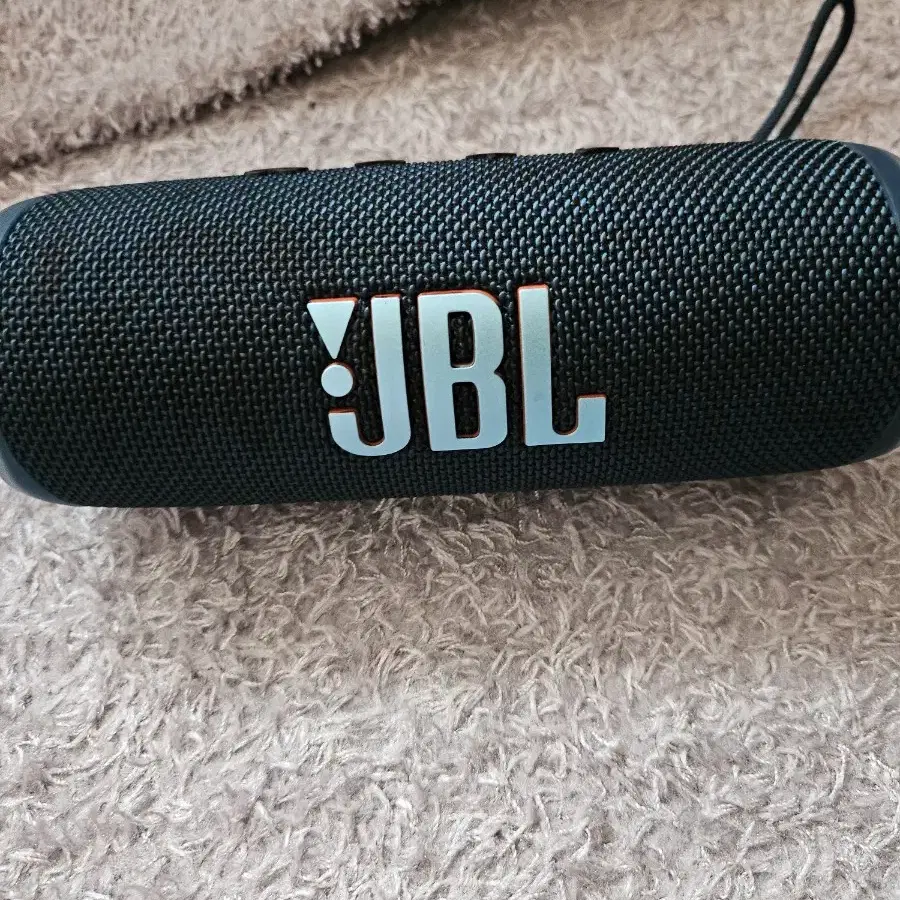 JBL flip6