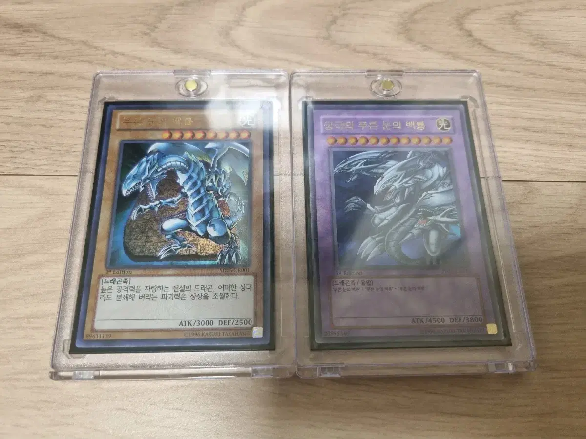 Blue-eyed White Dragon, Gongpubaek 1st Bulk