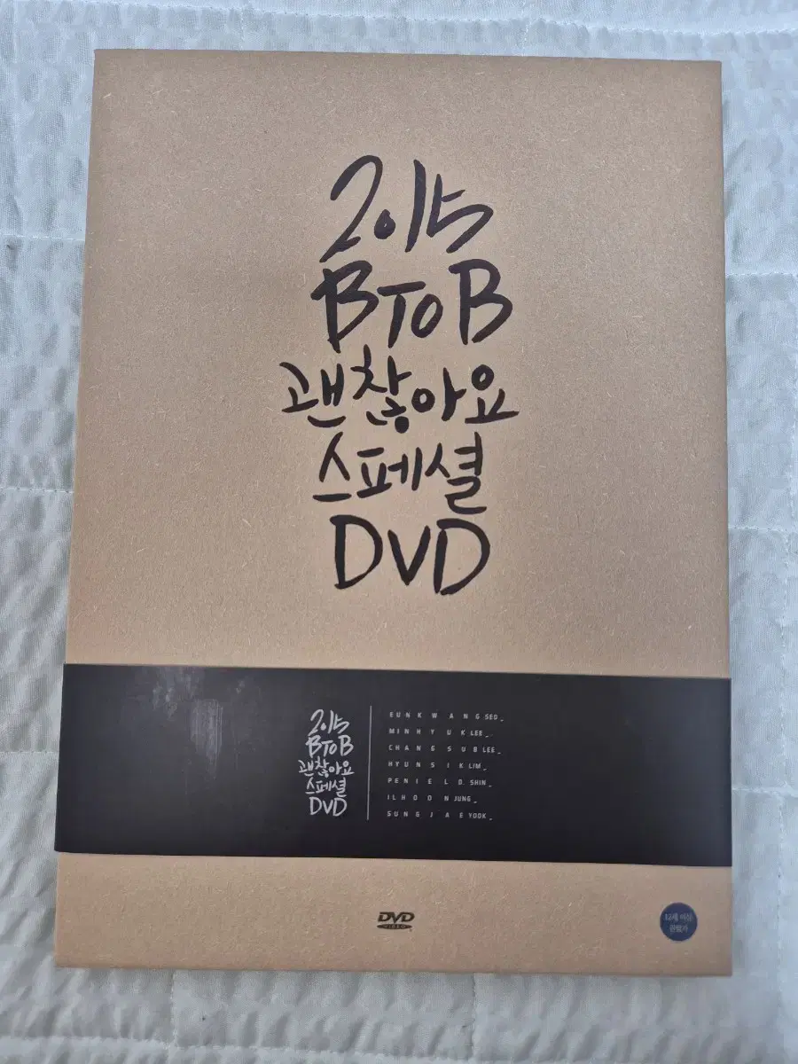 2015 비투비 괜찮아요 스페셜 dvd 판매