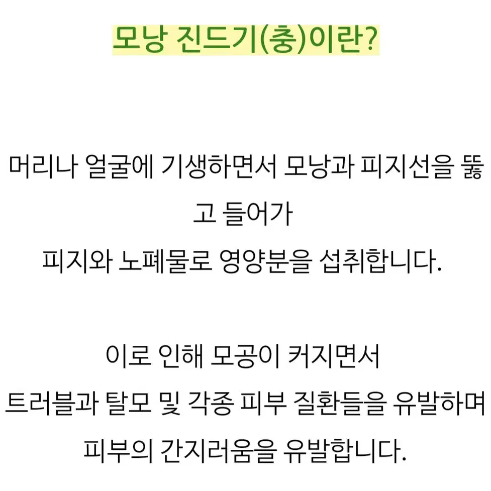 그레이멜린 양배추 모공클린 슬리핑 팩(올리브영)