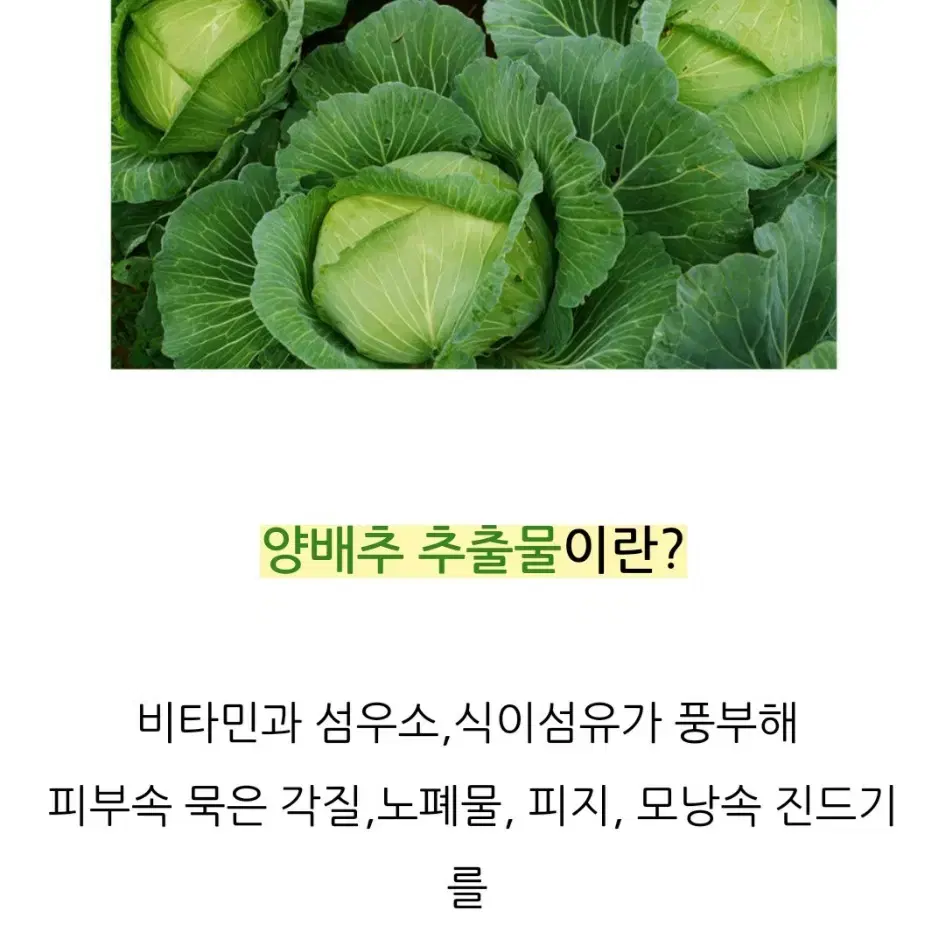 그레이멜린 양배추 모공클린 슬리핑 팩(올리브영)