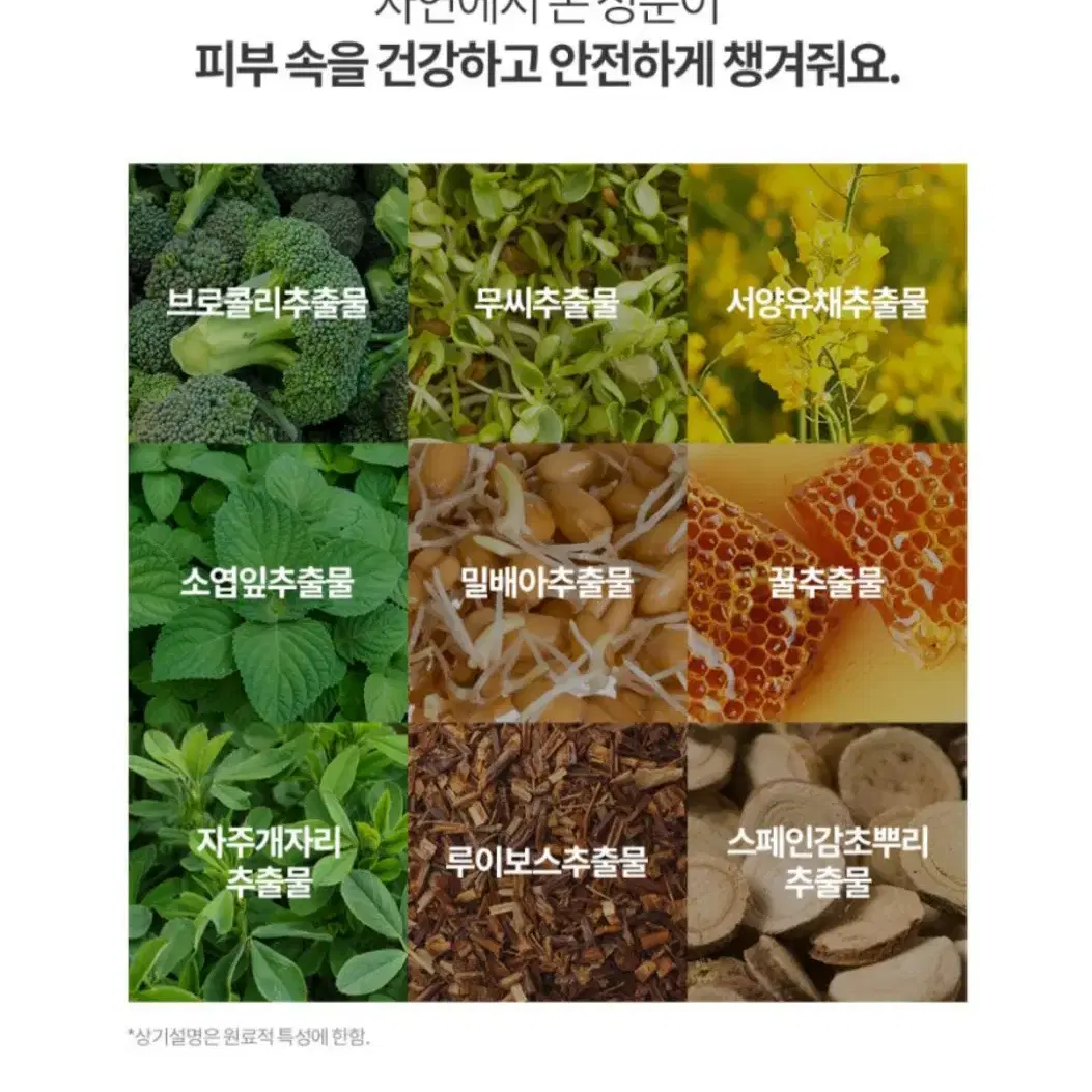 그레이멜린 양배추 모공클린 슬리핑 팩(올리브영)