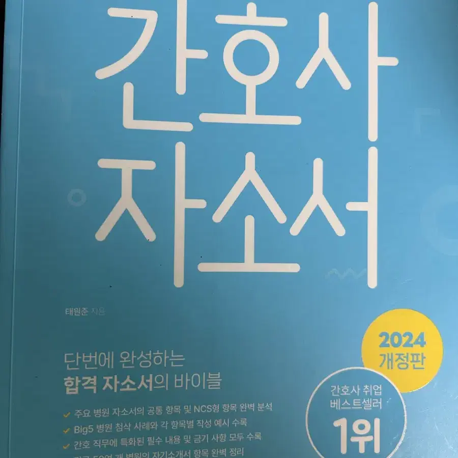 2024 홍지문 간호사 자소서 파랑이