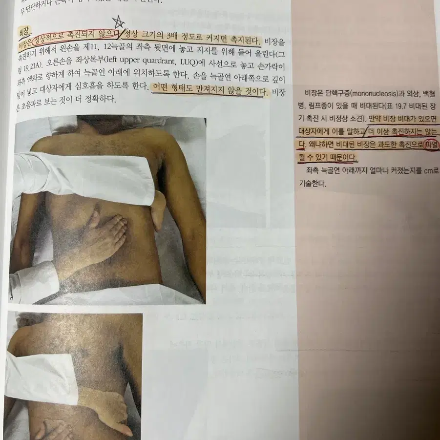 건강사정 8판 자비스 학지사메디컬