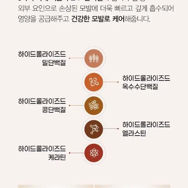 닥터트웬티 프로젝트 단백질 트리트먼트200ML 1개 손상모발,두피케어