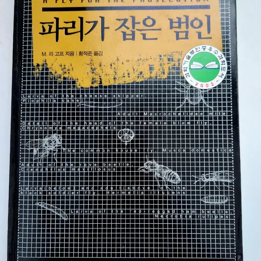 파리가 잡은 범인