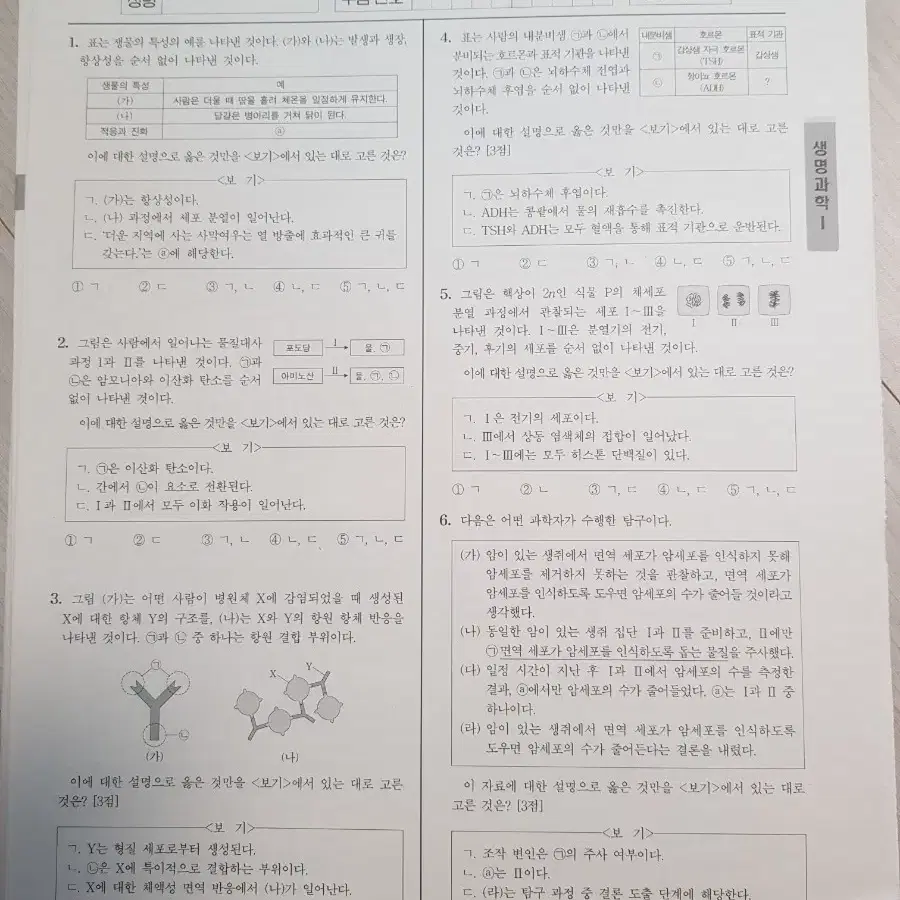 24년도 실시 6,9 평가원 모의고사 판매