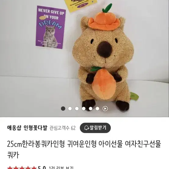 쿼카 한라봉 인형