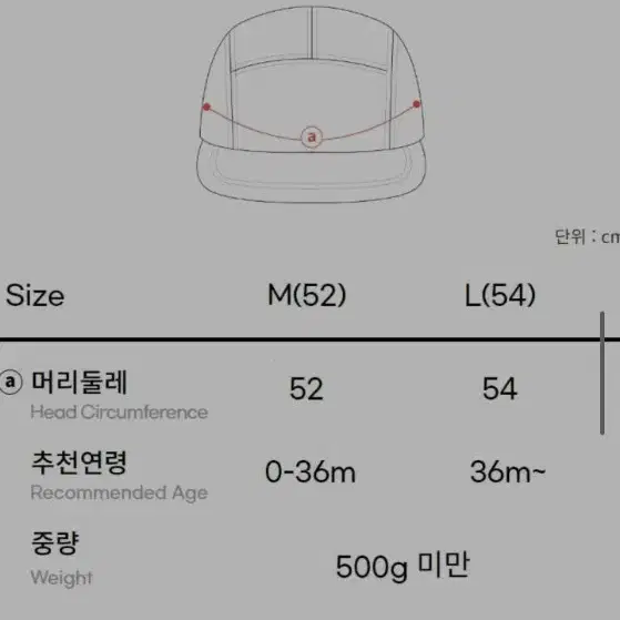 로토토베베 곰돌이 볼캡 L