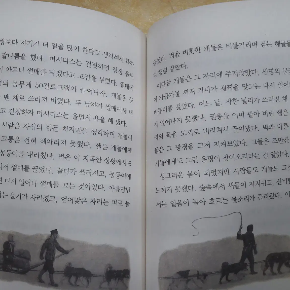 금성출판사 Dream Books 미니명작