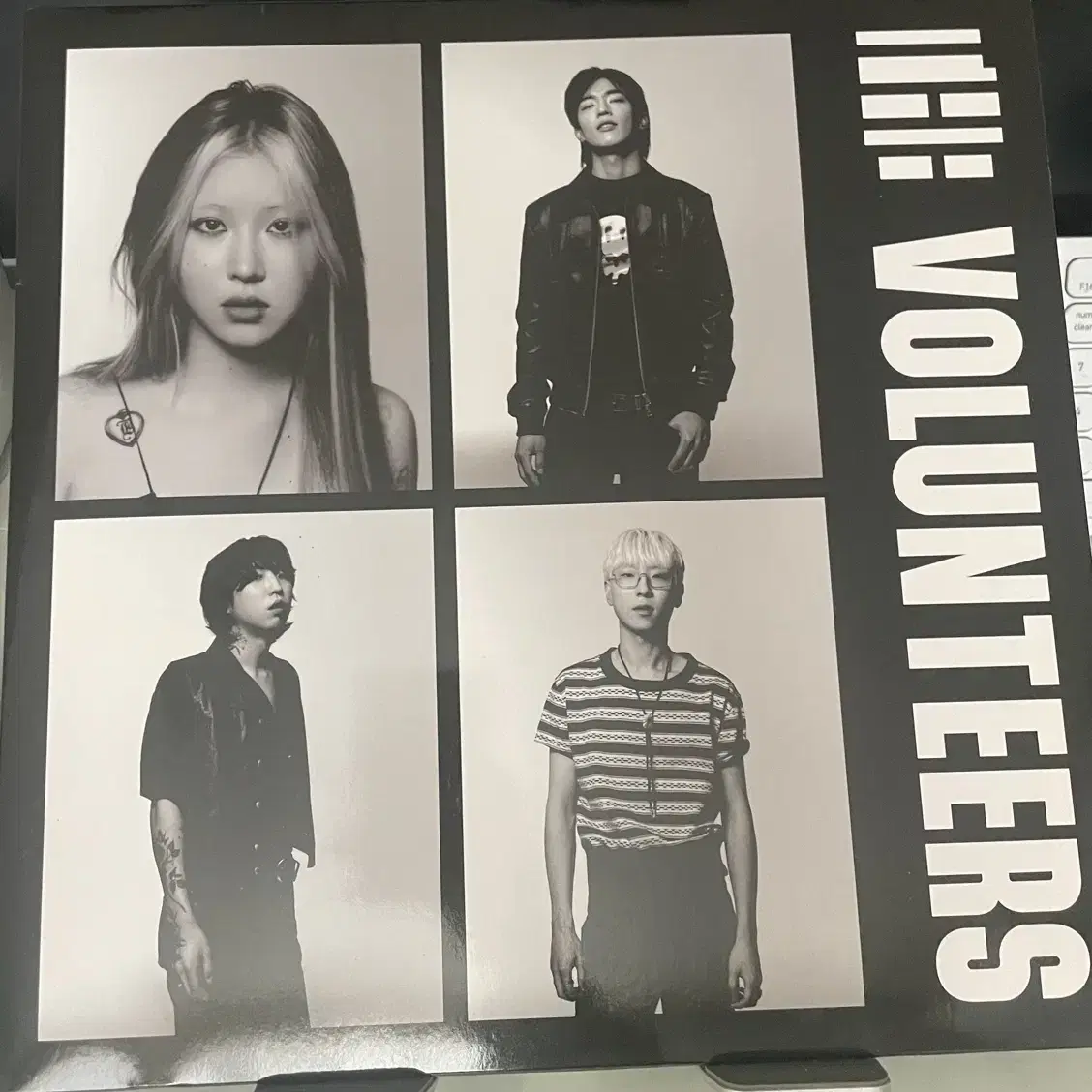 더 발룬티어스 The volunteers lp