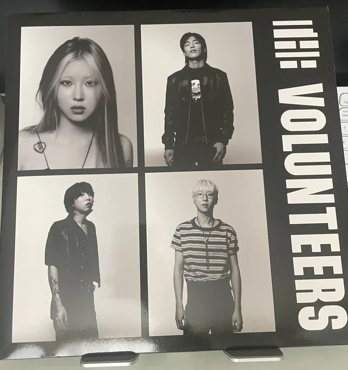 더 발룬티어스 The volunteers lp