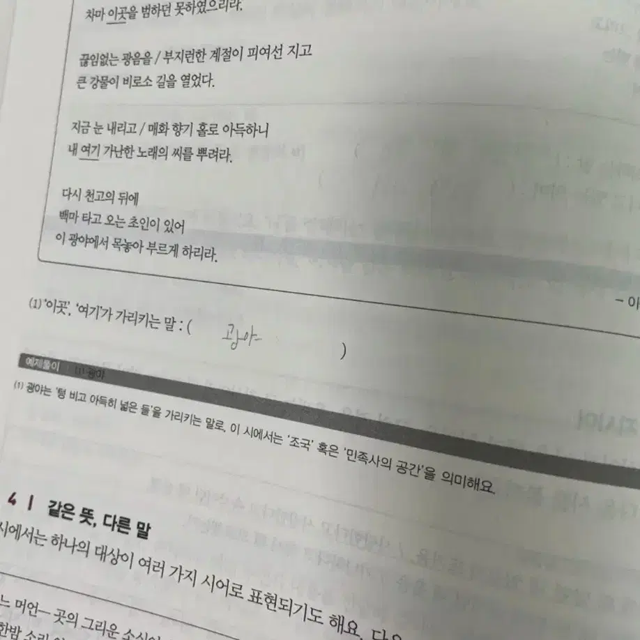 떠먹는 국어문학 문제집 문학 문제집