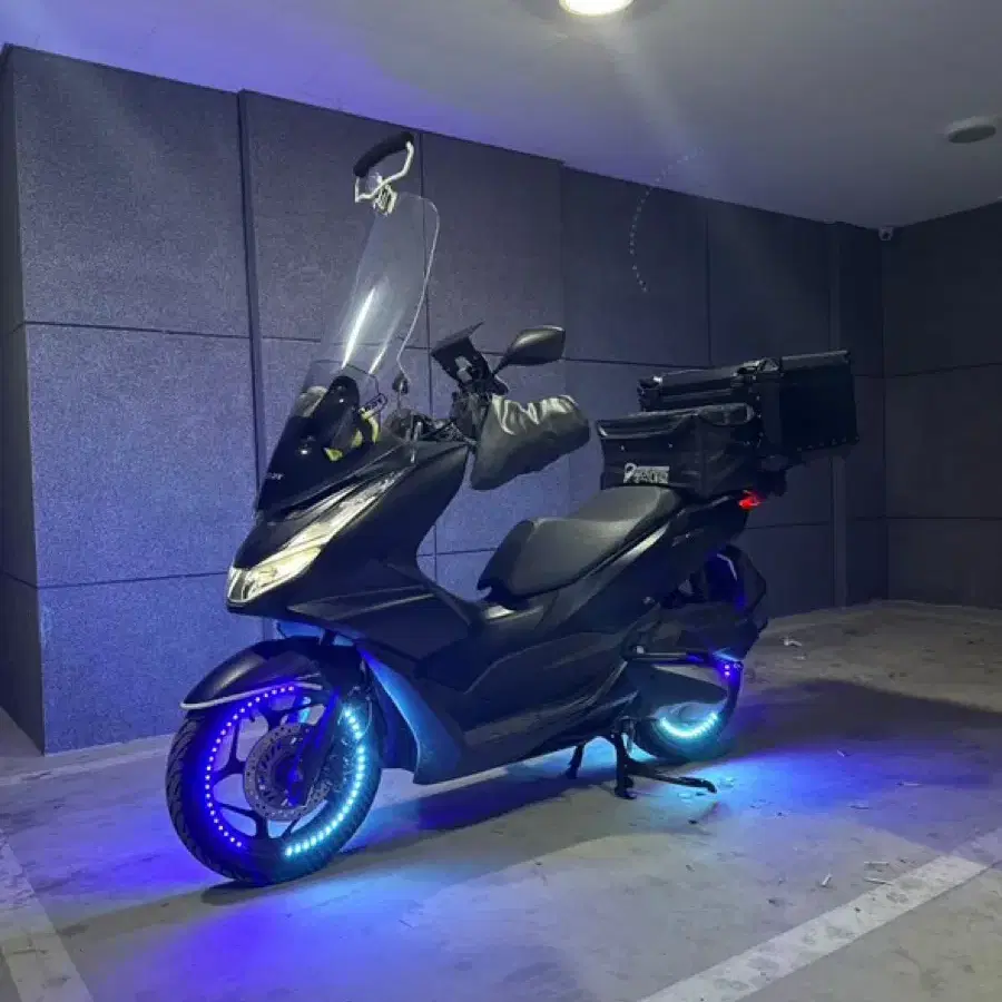 Pcx125 24년식 판매