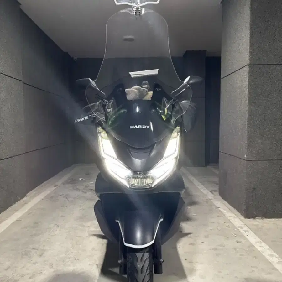 Pcx125 24년식 판매