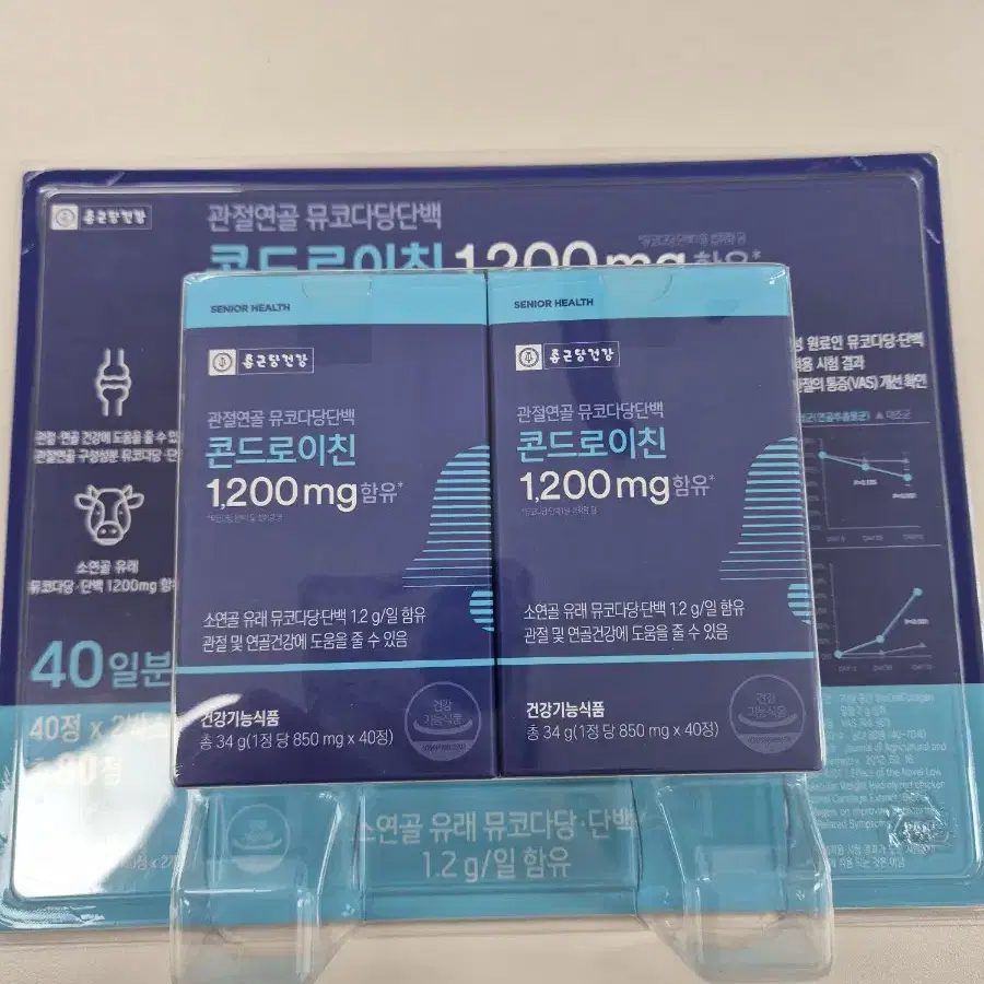 콘드로이친 1200mg