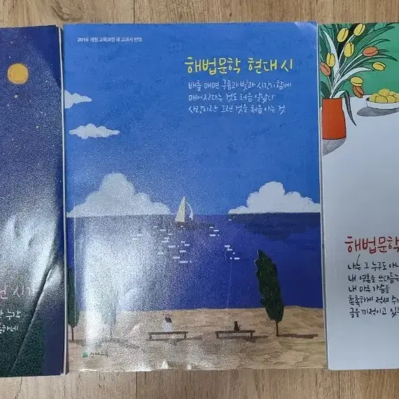 해법 문학  고전시가,  현대시,   현대소설