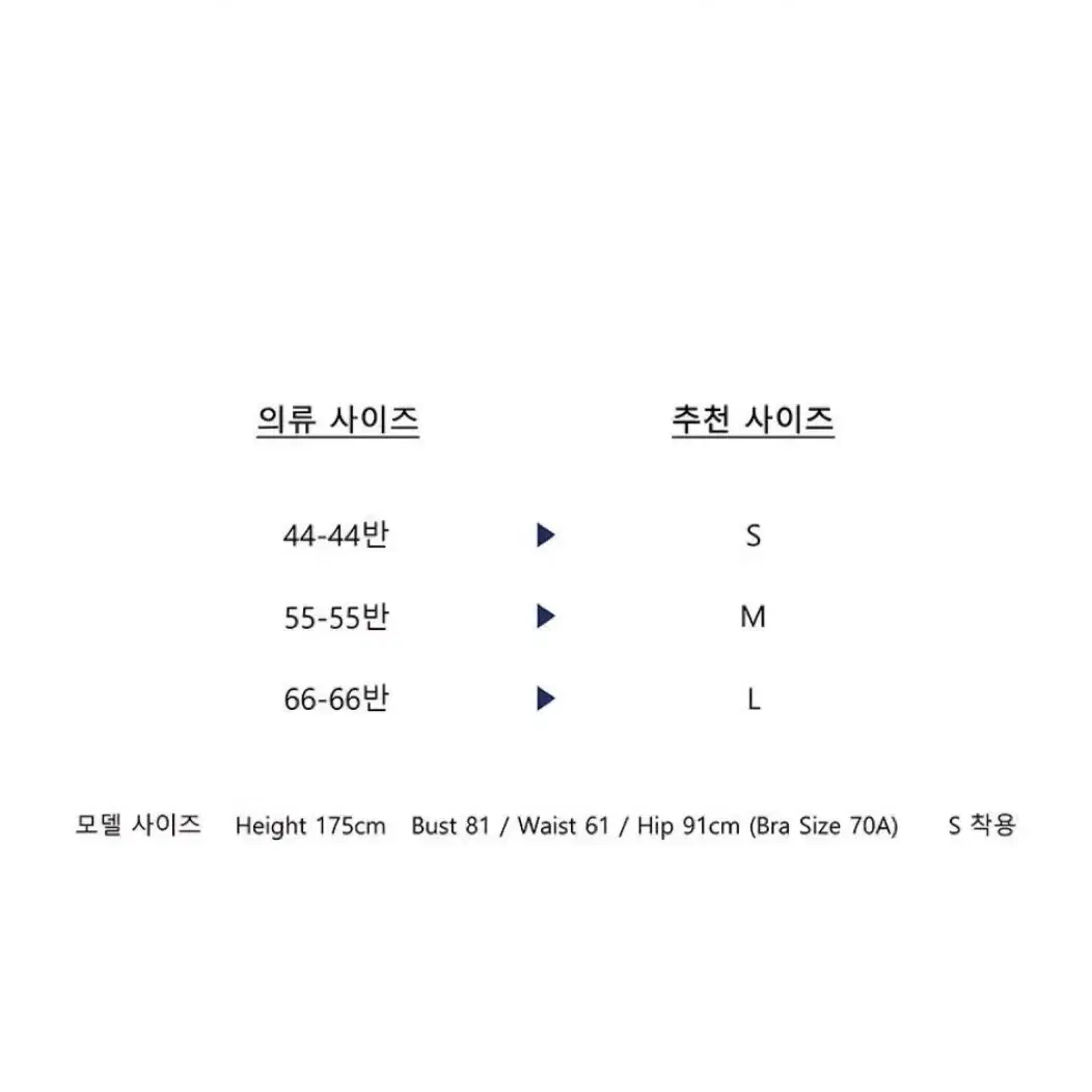 아그넬 클래시크 모노키니 L사이즈