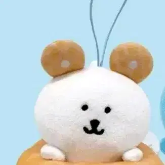 나가노 농담곰 먹어볼까 마스코트 도넛 푸딩 라멘