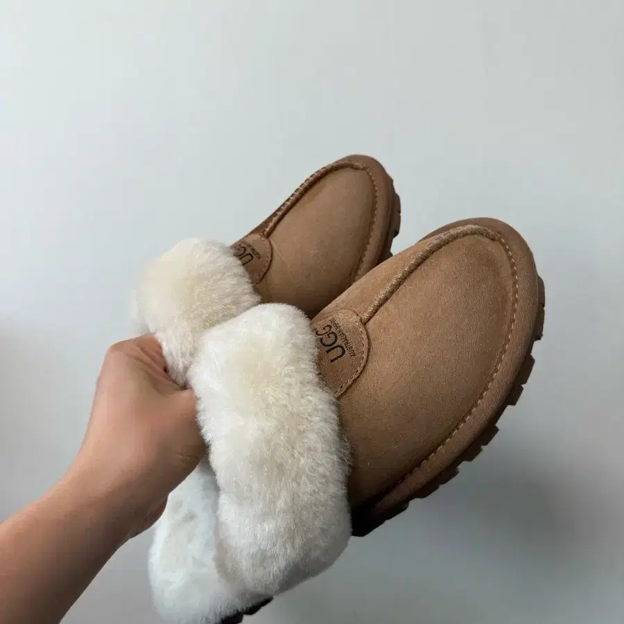 어그 UGG 뮬 슬리퍼 EU 38 사이즈 (235~240)