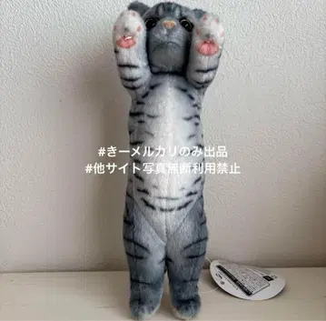 다찌이 동물원 냥코 푸치 사바토라 1.