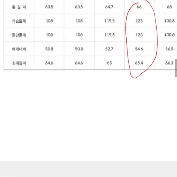 노스페이스 눕시 1996 오크 워터 쉴드 L사이즈 차은우패딩