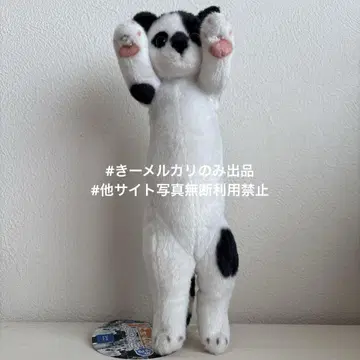 귀여운 동물원 냥코 화이트 냥코 푸치 화이트 고양이