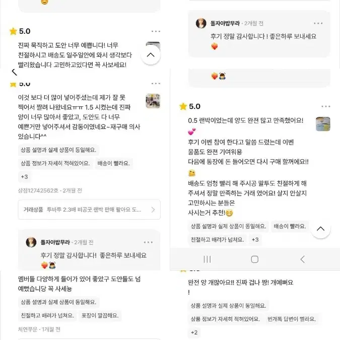 투바투 2.3배 비공굿 랜박 판매 팔아요 도무송혜자포카프리쿠라찌라시라이즈