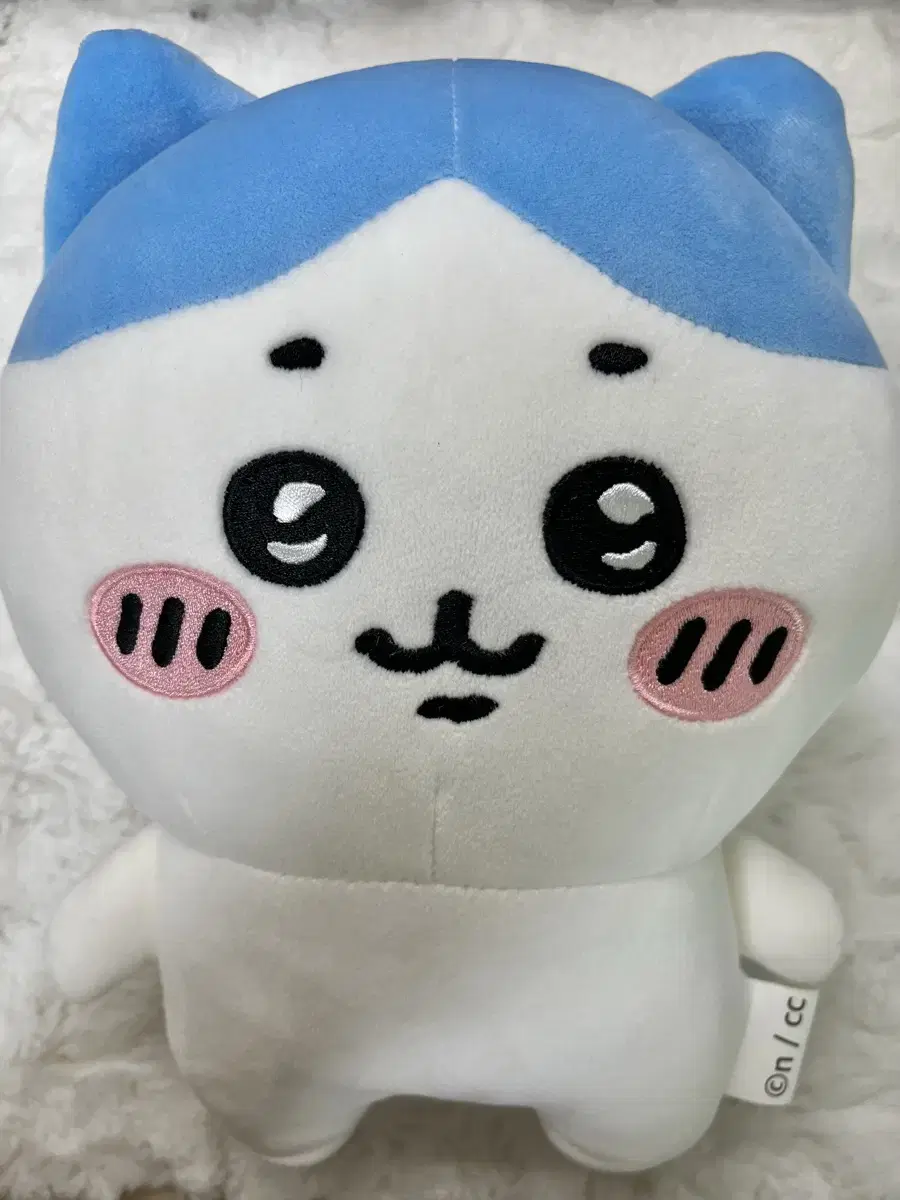 급처) 하치와레 25cm 인형 양도