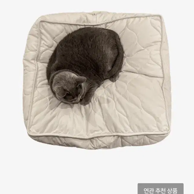 집에가야돼 고양이 누빔 사각 쿠션