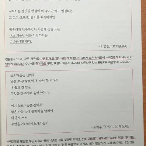 이제 못구하는책) 피램 문학 생각의 발단