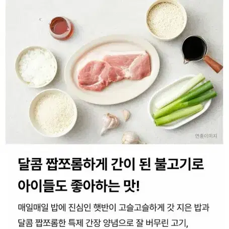 햇반 쿡반 스팸주먹밥3종500GX6개(낱개30개)스팸김치+참치마요+불고기